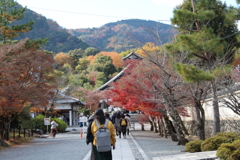 天龍寺①