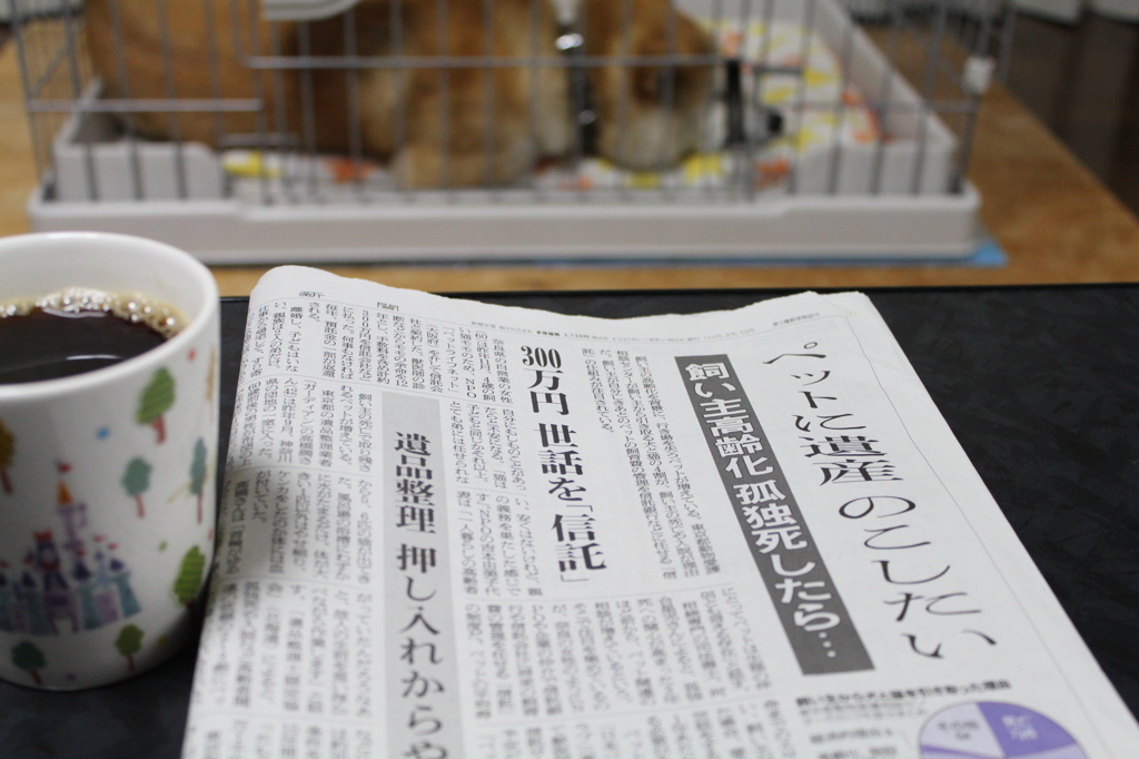 一昨日の朝刊記事・・ちと考えた・・・
