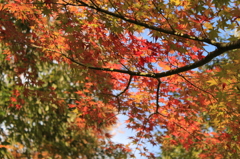 きらきら・・・・