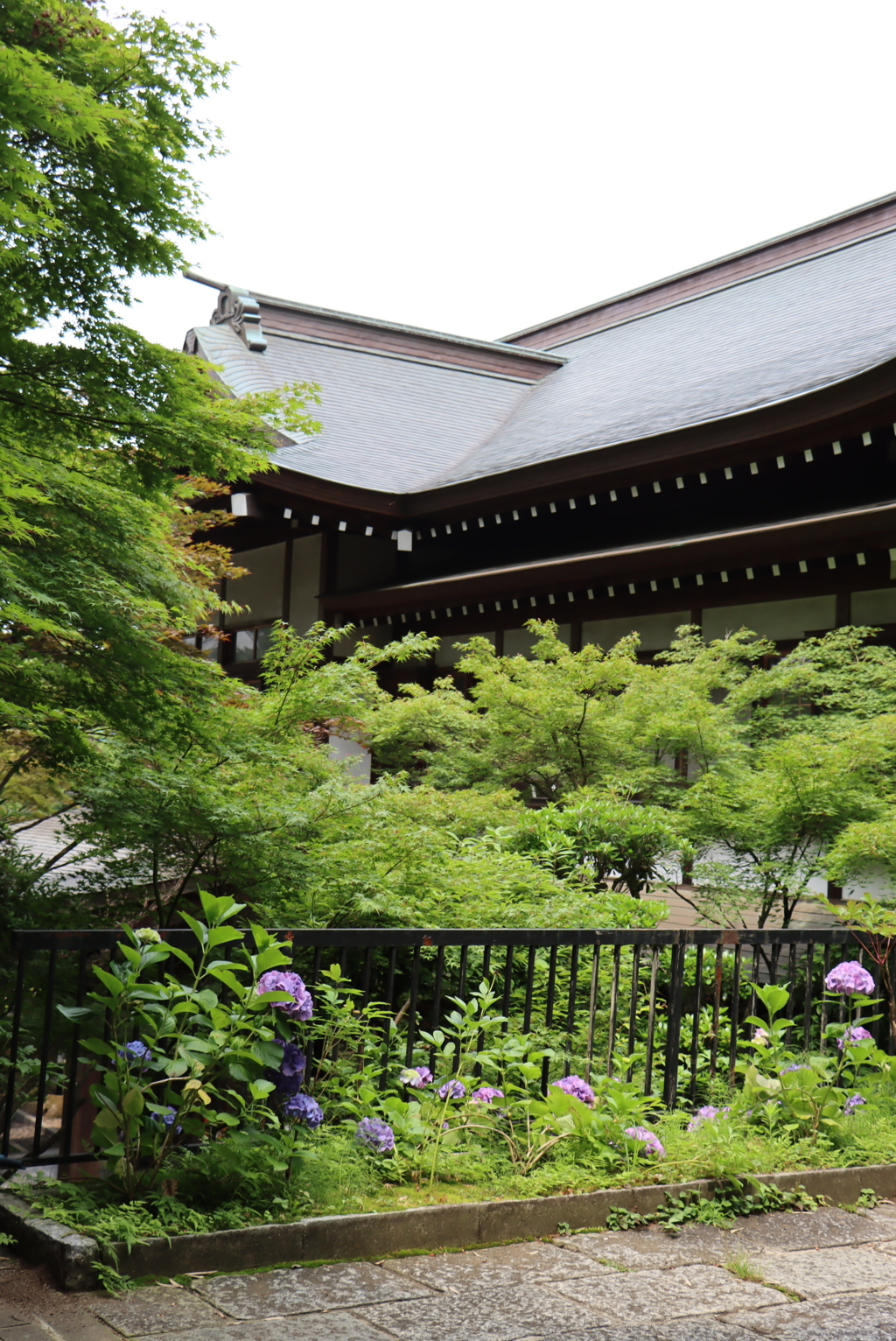 駅の先のお寺さん