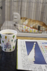 大空へ・・・・・