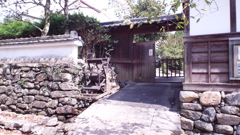 DSCF0334