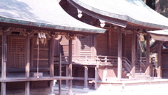 DSCF0249