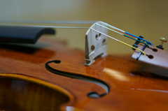 Violin