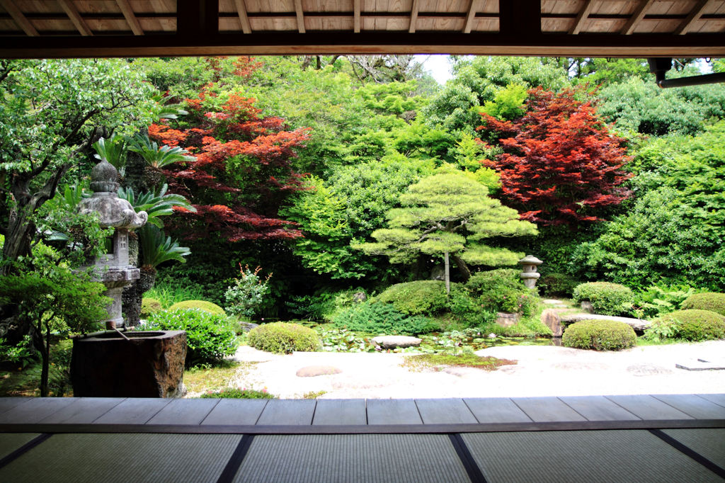 月照寺－華