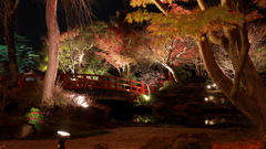 日本庭園 由志園 2