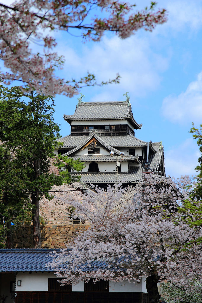 松江城Ⅱ