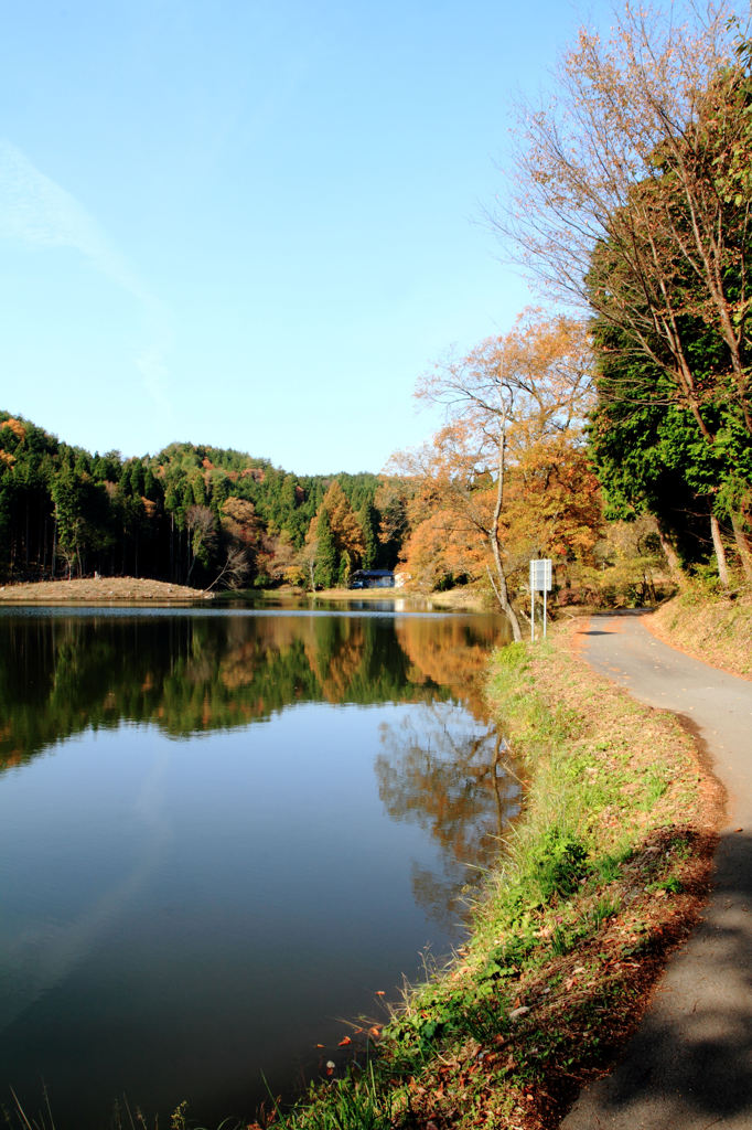 小春日和の散歩道。