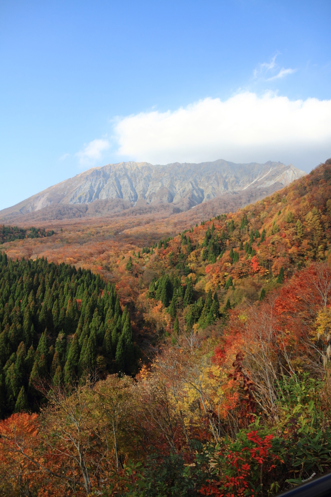 大山の紅葉 - 鍵掛峠