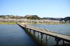 願い橋　1