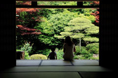 月照寺－想