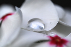 水模様