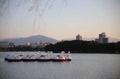集合