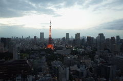 貿易センタービルから