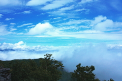 雲海の波濤