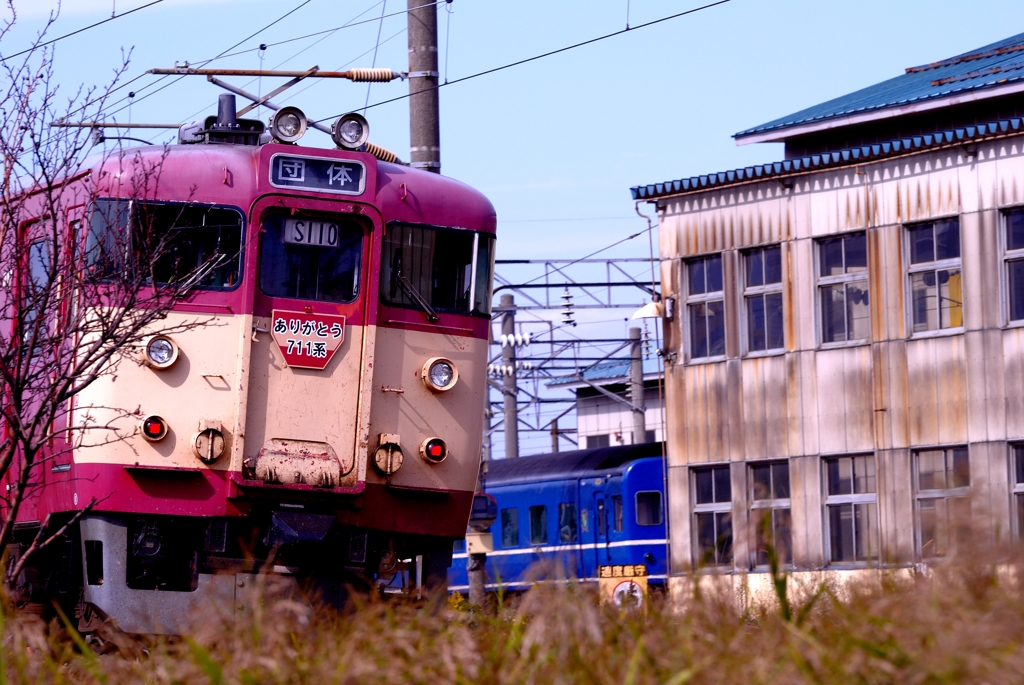 ありがとう７１１系