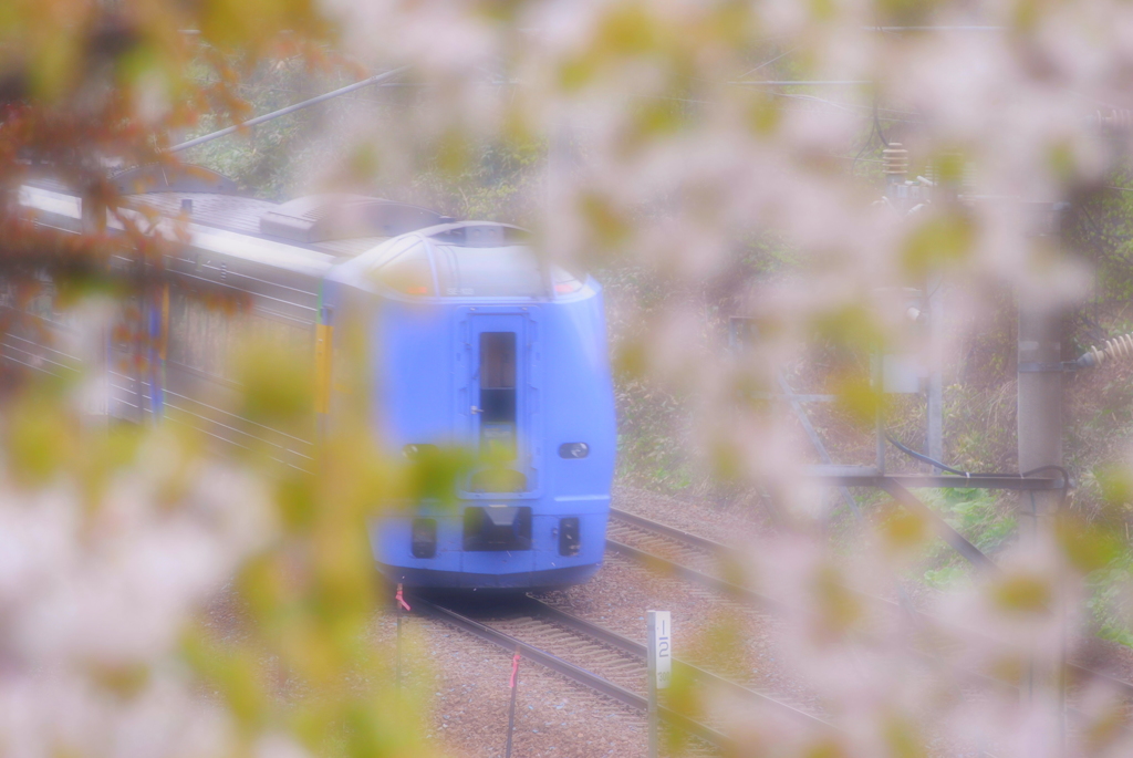 Sakura Transporter スーパー宗谷