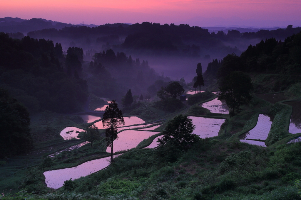 越後の棚田