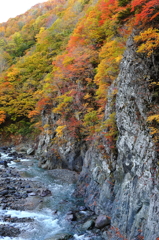 秋山郷