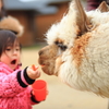 あ〜ん。