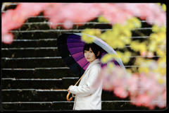 晩秋の雨