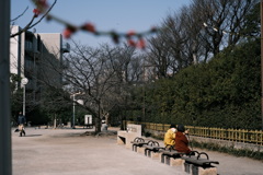 梅蕾む浅春の団欒。