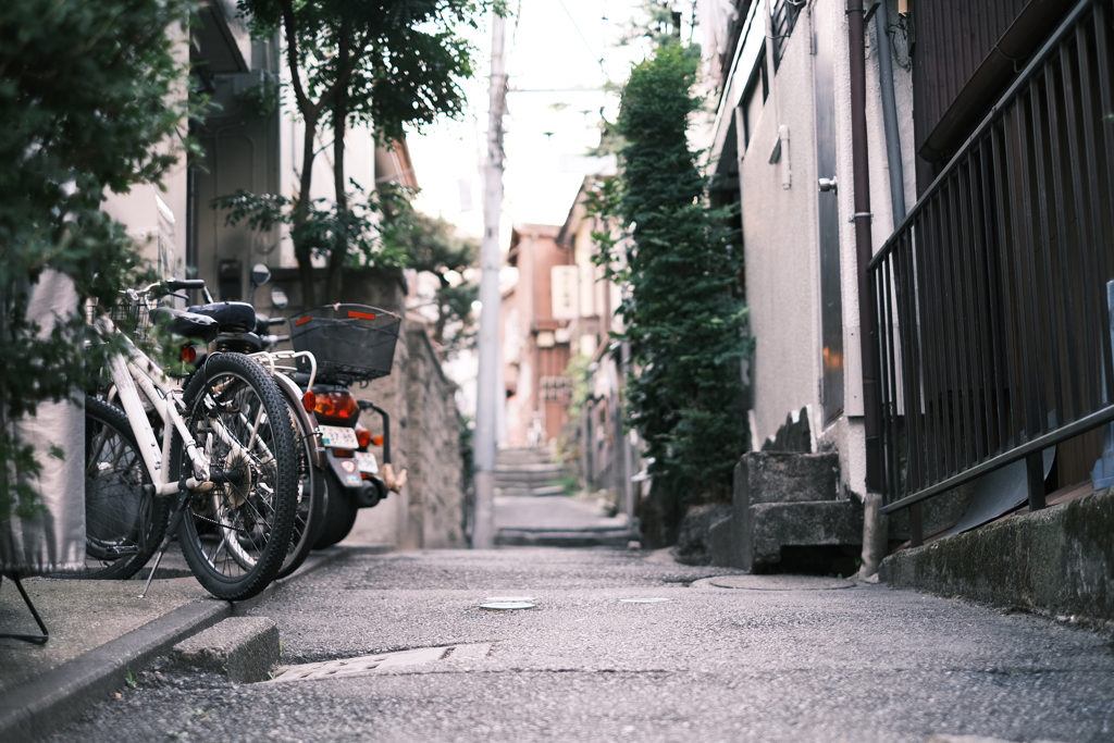 朝朗けの路地