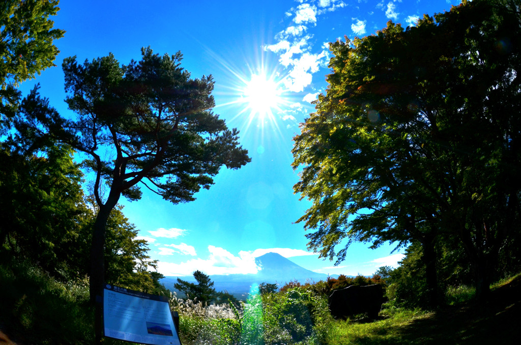 紅葉台