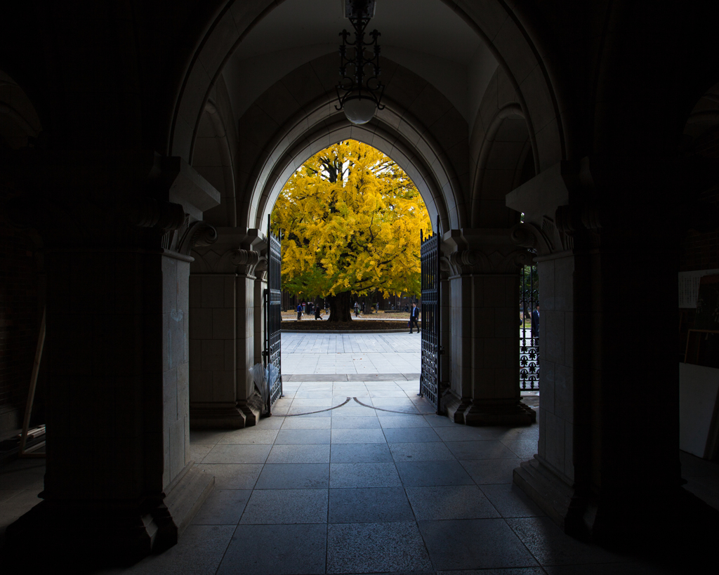 東京大学