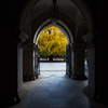 東京大学