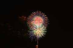 初秋の光花２
