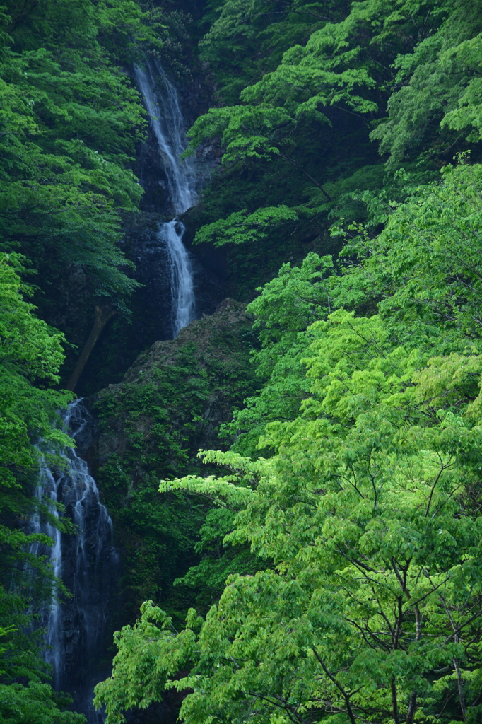 世附川　夕滝