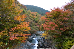 魚止橋から早戸川を望む