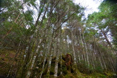 八ヶ岳