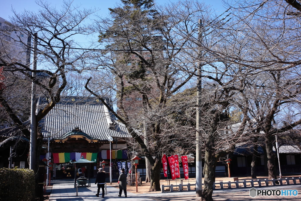 川越七福神・福禄寿　