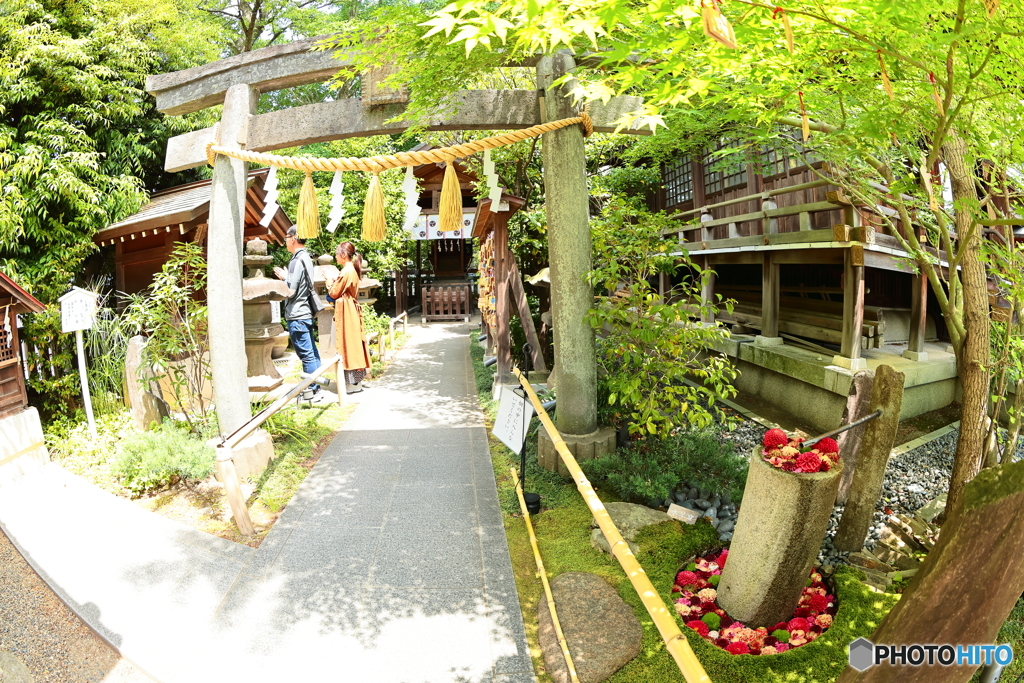 行田　花手水week②　恵比寿神社