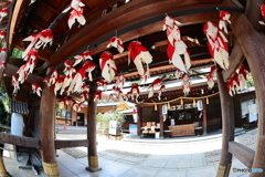金魚ちょうちん