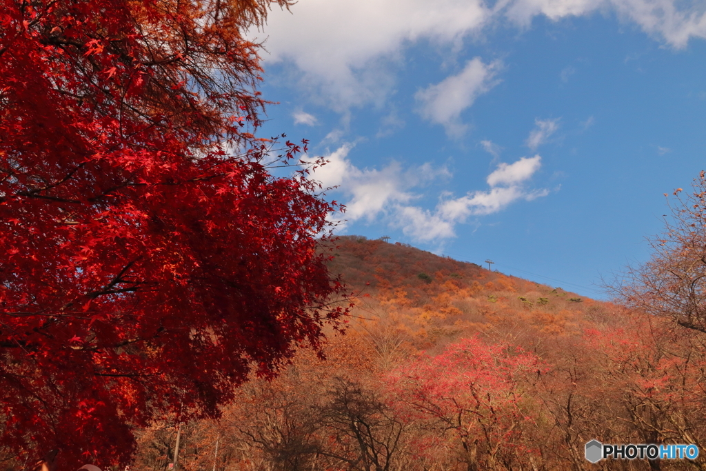 紅葉と榛名富士