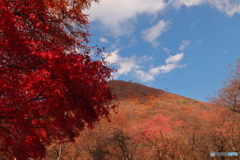 紅葉と榛名富士