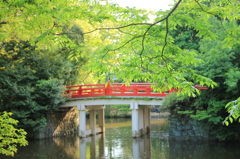 氷川神社