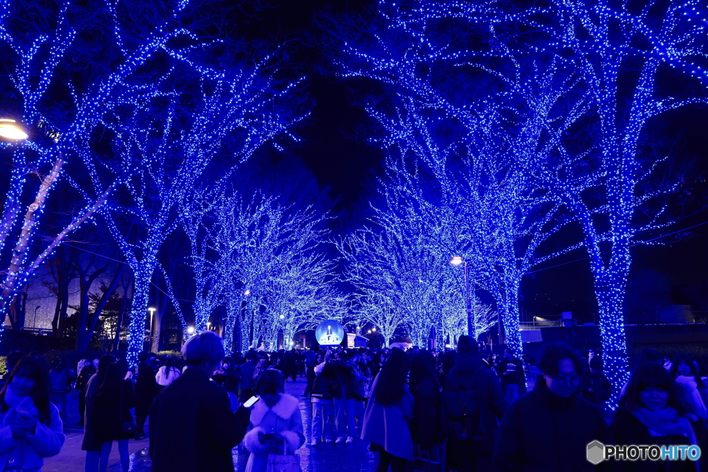 青の洞窟2024 in SHIBUYA #5