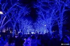青の洞窟2024 in SHIBUYA #5