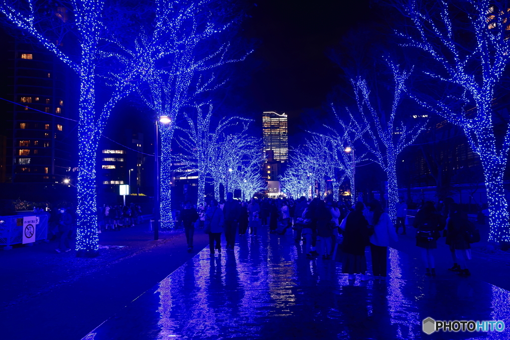 青の洞窟2025 in SHIBUYA #7