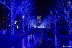 青の洞窟2025 in SHIBUYA #7