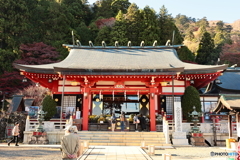大山阿夫利神社