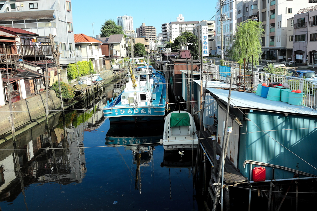 品川浦の屋形船 By 湘南シーガルズ Id 写真共有サイト Photohito