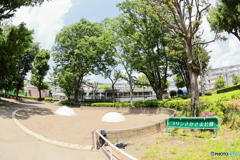 プリンさかさま公園