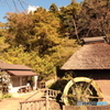 秋の風景
