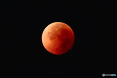 Blood Moon