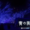 青の洞窟2022 in SHIBUYA #5